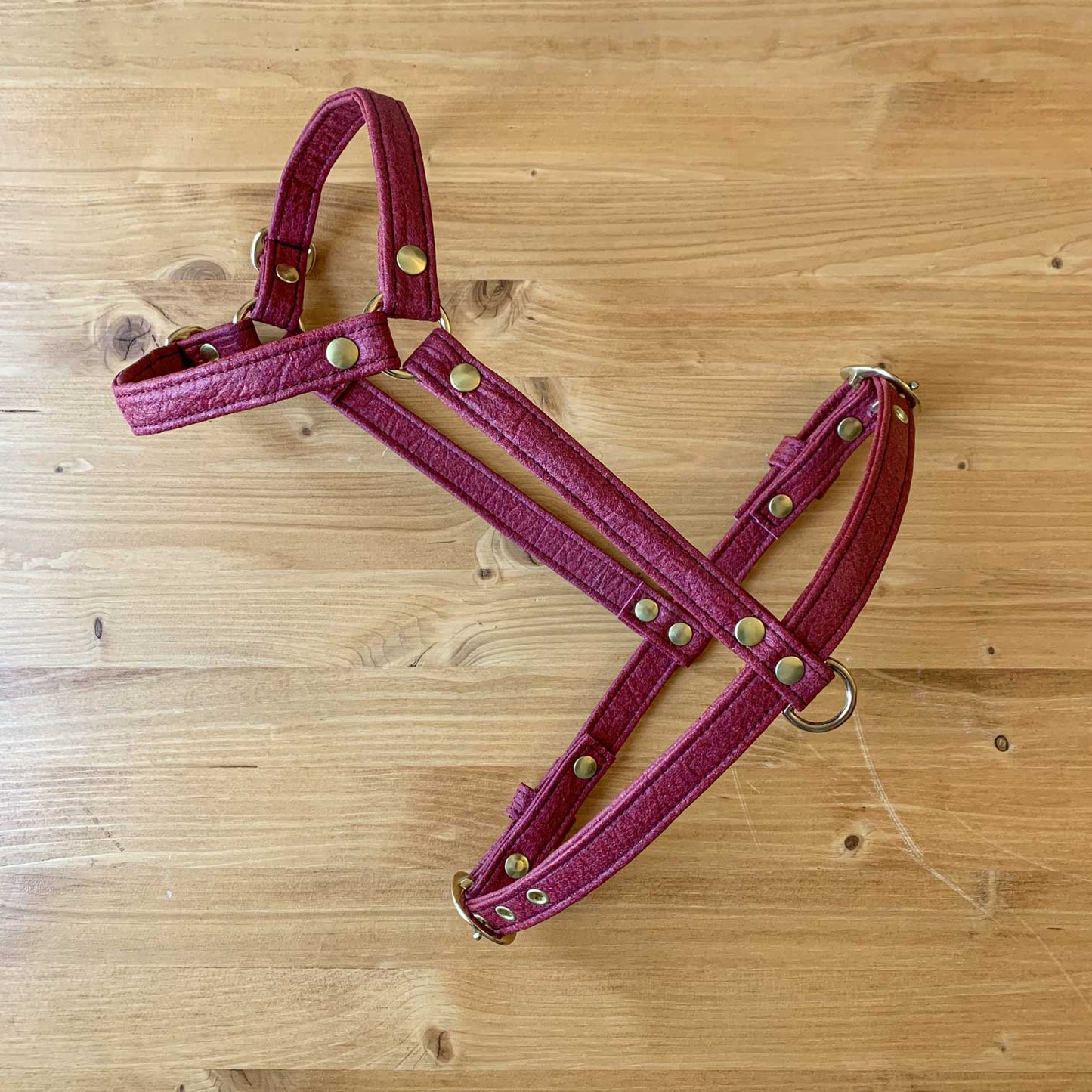 Piñatex H-Harness – Raspberry