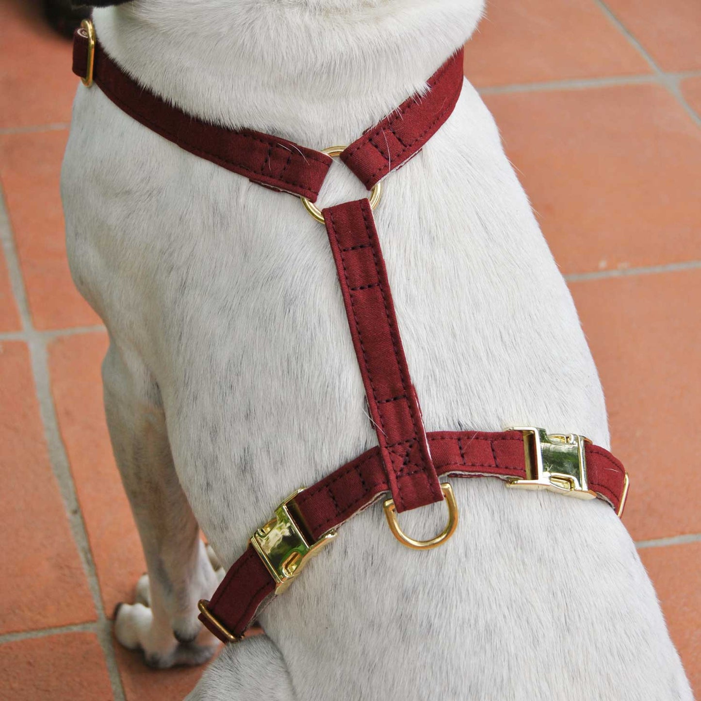 Pettorina ad H - Acero - Eco Impronta