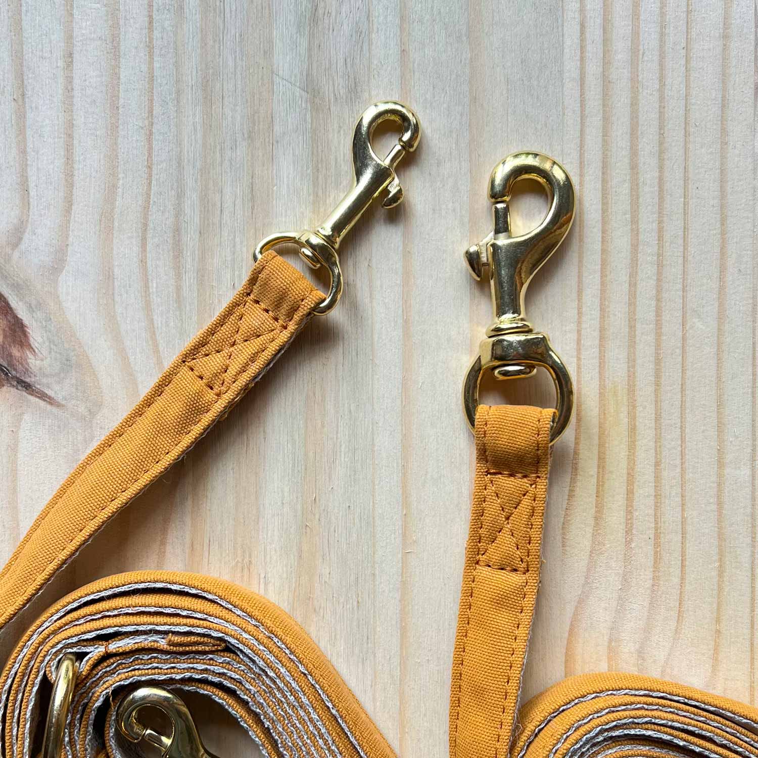 Guinzaglio Mani Libere - Arancio - Eco Impronta