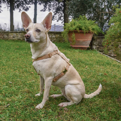 Pettorina ad H - Sughero e canapa - Eco Impronta