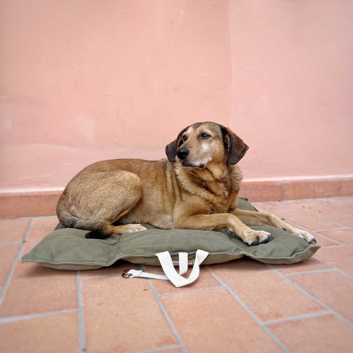 Materassino da viaggio per cani - Eco Impronta