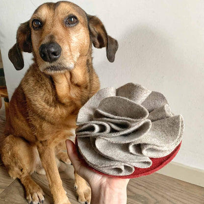 Snuffle cake - Gioco olfattivo per cani - Eco Impronta