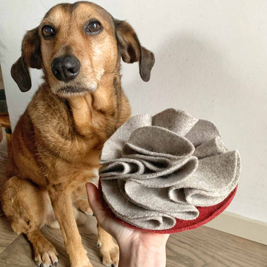 Snuffle cake - Gioco olfattivo per cani - Eco Impronta